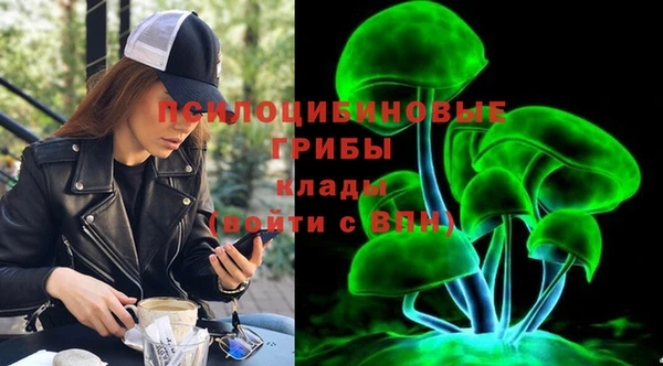 дживик Абаза