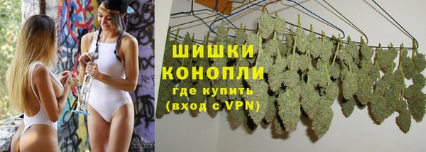 дживик Абаза