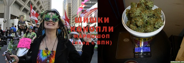 дживик Абаза